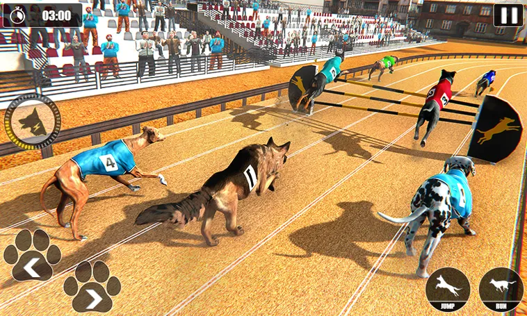 Cách Chơi Game Nhanh Đua Chó Tại 88NN Dễ Thắng Nhất